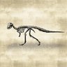Short paws, but not t-rex