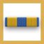 Navy Expeditionary Medal