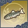 Freshwater Fishing Frenzy