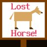 Lost Horse