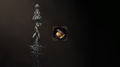 Consummate Collector