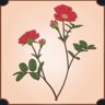 Rose of Provins