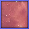 Galaxy #14
