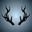 Oh Deer
