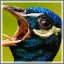 Kiosk Item Unlocked: Bird