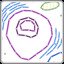 Plant Cell