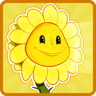 Sun Heals