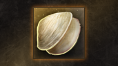 Shell Shock