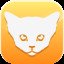 Abyssinian