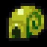 Nautilus Shell