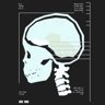 X-rays