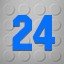 Level 24