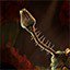 Research:  Hydron Zoa