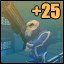 25 wins