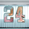 24 level completed