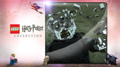 Voldemort's Demise