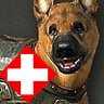 DOGtor