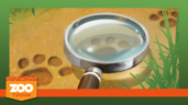 Research Warrant