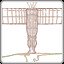 Angel of the North