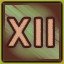 Silver Level 12