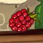 Berries