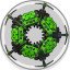 Achievement 4 Master Level