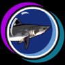 Supersonic Shark