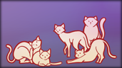 Found 480 cats