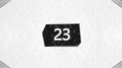 Level 23