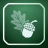 Acorn