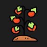 Planted Tomato