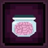 Brain in a Jar