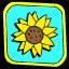 Sunflower Master