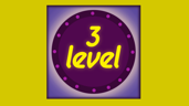 Level 3