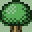 Mysterious Seeds