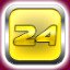 Level 24