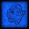 PEONY