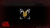 Texas Through and Through