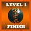 Level 1 Finished