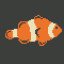 Fish Lover