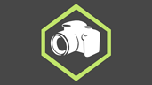 Wildlife Paparazzi