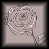 Platinum Rose