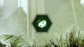 Welcome to the Jungle!