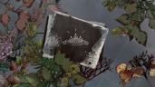 The Princess' Lost Treasure