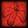 LOBELIA