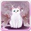 Cat Lover