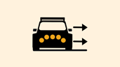 good drivers have dead flies