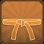 Orange Belt