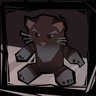 Pet the cat