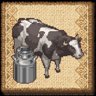 Cow's Milk